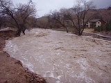 A fost emis cod galben de inundatii. Care sunt judetele afectate
