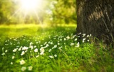 Urmeaza doua saptamani cu vreme incredibila si fenomene neasteptate! Prognoza meteorologilor