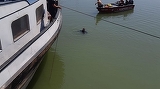 Tragedie! Marinarul dat disparut a fost gasit mort! Cazuse in canalul Dunare-Marea Neagra
