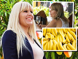Cum a vrut Elena Udrea să se îmbogăţească din Costa Rica! Blonda a vrut să exporte banane, mango şi ananas în România!