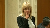 Elena Udrea ar putea să nu mai calce în România! Ce plan ar avea FBI cu fostul ministru