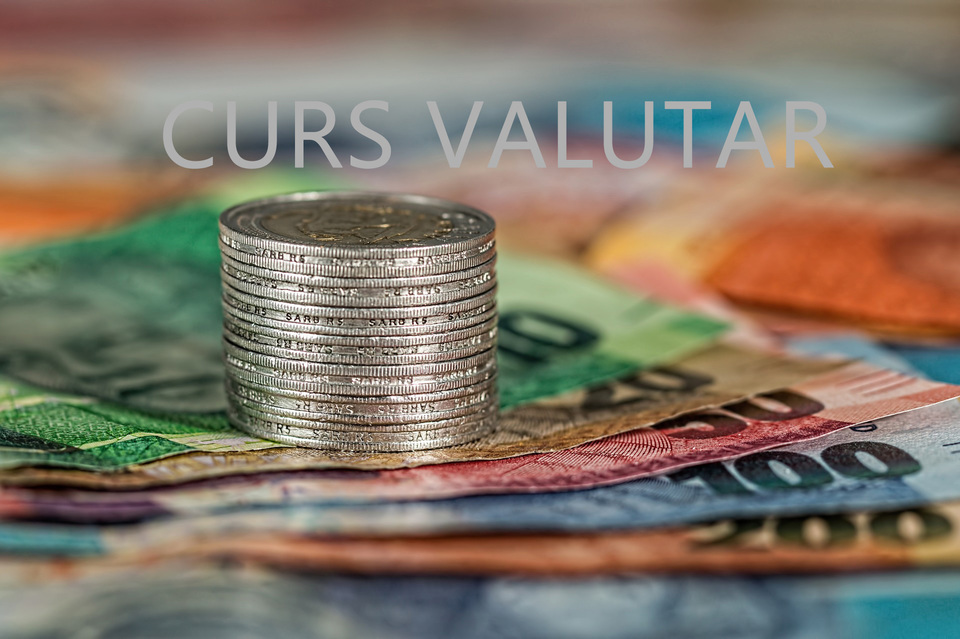 Curs valutar 8 noiembrie. Cursul BNR: cum este cotat Leul fata de Euro