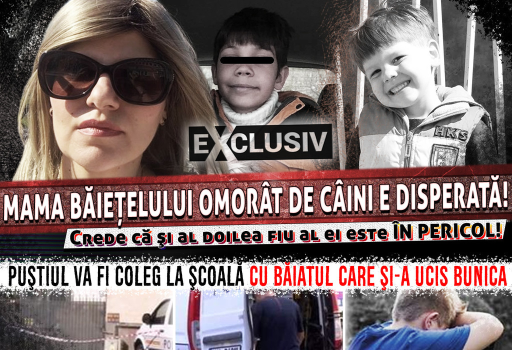 Mama băieţelului omorât de câini e disperată! Crede că şi al doilea fiu al ei este în pericol! Puştiul va fi coleg la şcoală cu băiatul care şi-a ucis bunica EXCLUSIV