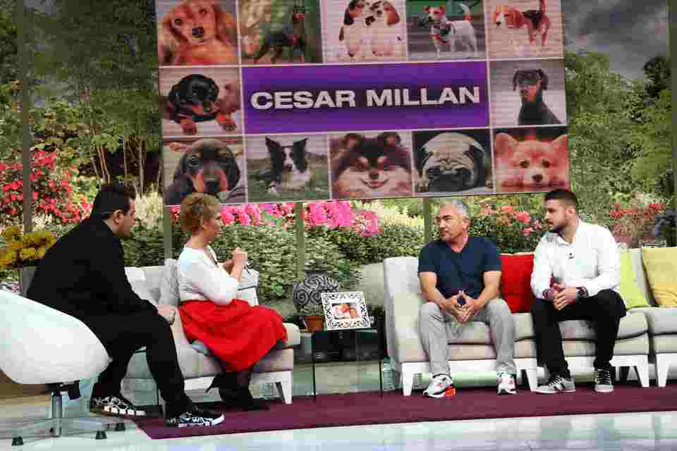 Cesar Millan la “Teo Show”. Prima interventie in Romania, in direct, a celebrului antrenor canin: “Cainii au cheia fericirii, a respectului si a increderii”