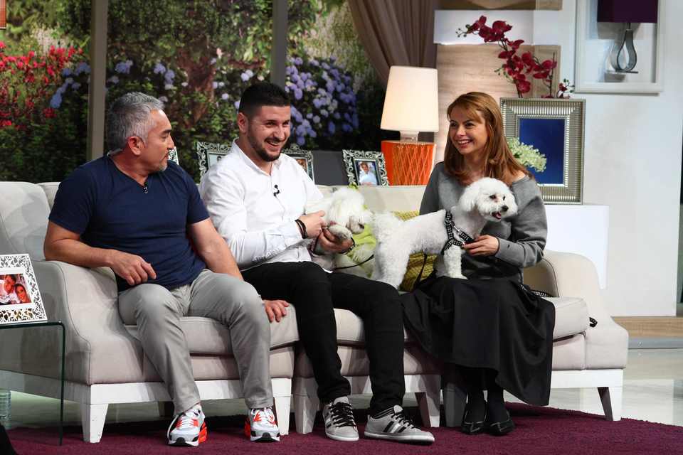 Cesar Millan la “Teo Show”. Prima interventie in Romania, in direct, a celebrului antrenor canin: “Cainii au cheia fericirii, a respectului si a increderii”