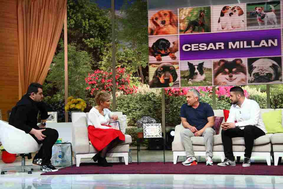 Cesar Millan la “Teo Show”. Prima interventie in Romania, in direct, a celebrului antrenor canin: “Cainii au cheia fericirii, a respectului si a increderii”
