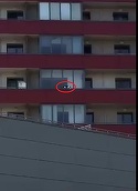 Aparitie stranie in blocul Denisei Raducu! Dupa anuntul mortii solistei, o pisica a inceput sa se plimbe pe balcoane, la mare inaltime | VIDEO