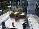 Cum arata mormantul lui Iurie Darie dupa furtuna de acum doua zile! Angajatii cimitirului Sfanta Vineri sunt socati "E singurul loc de veci care arata asa" VIDEO EXCLUSIV