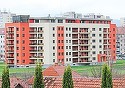 Veste proasta pentru Nicoleta Luciu! Sotul Zsolt a inceput sa piarda sume considerabile cu afacerea lui