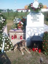 Imaginea te lasa fara cuvinte! Stapanul lui a murit, dar cainele nu se dezlipeste de zile in sir de mormant