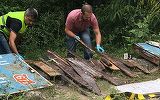 Descoperire macabra! Ce au gasit muncitorii pe marginea drumului: "Este inadmisibil asa ceva"