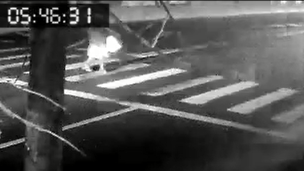 VIDEO | Scene teribile cu accidentul lui Kader Keita. Momentul impactului cu femeia spulberată, surprins pe camere