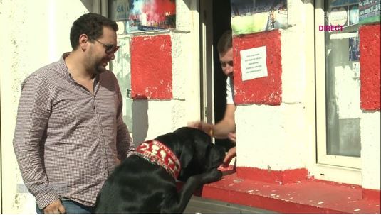 VIDEO | Un câine şi-a luat biletul pentru derby, singur! Imaginea zilei oferită de un alt fel de suporter!