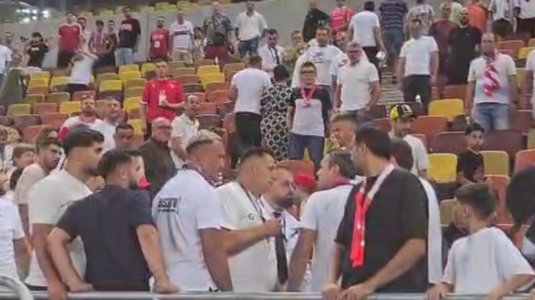 VIDEO | Conflict pe Arena Naţională! Colţescu, ţinta unui suporter nervos. Agenţii de pază au intervenit prompt