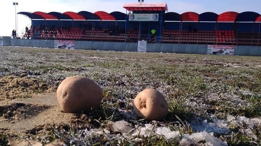 FOTO | "Fotbal nu ştim dacă se face, dar cartofii sigur se fac". Imagini incredibile surprinse pe gazonul unei echipe din Liga a II-a