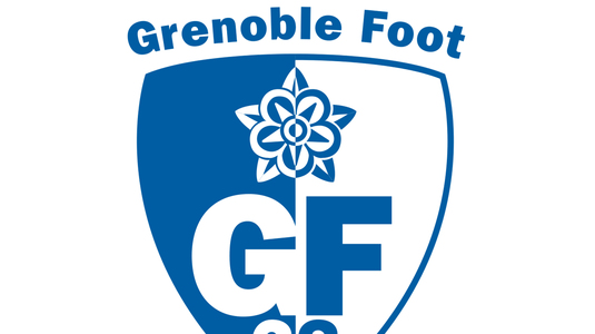 Tragedie în fotbalul juvenil. Un junior în vârstă de cinci ani a murit la Grenoble, după ce i s-a făcut rău la un turneu de fotbal