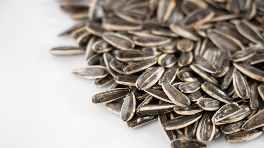 Valencia a interzis consumul seminţelor de floarea-soarelui pe propriul stadion. Care este motivul