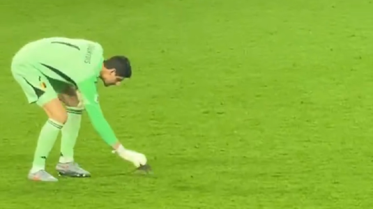 VIDEO | Moment amuzant la meciul Ţara Galilor - Belgia. Courtois a încercat să intervină, dar "eroul" a fost altcineva