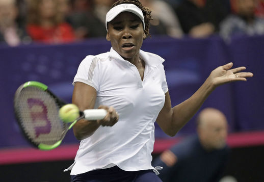 Venus Williams a învins-o pe Hogenkamp şi a adus calificarea echipei SUA în semifinalele Fed Cup