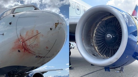 Aproape de tragedie. Avionul echipei Utah Jazz a lovit un stol de păsări şi a aterizat de urgenţă