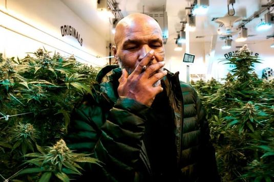O nouă afacere pentru Mike Tyson. Fostul pugilist şi-a deschis o cafenea cu produse din canabis la Amsterdam