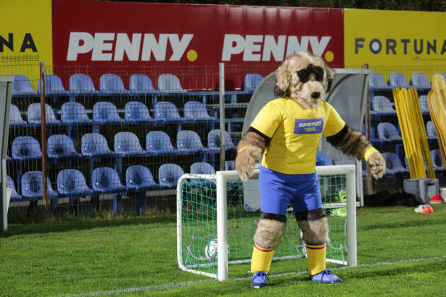 VIDEO | Naţionala are mascotă! Ciobănescul carpatin le va sta alături tricolorilor în drumul spre Mondial