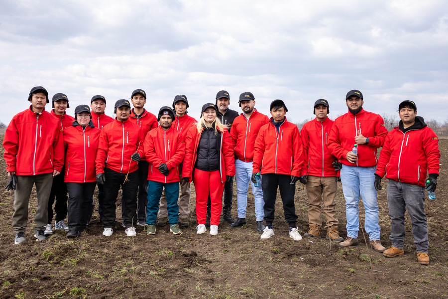 ESSA Group susţine împădurirea României: 15.000 de puieţi plantaţi în două zile, la Boboc