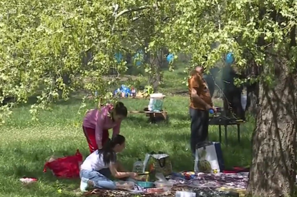  Focus la Prima Oră: Epidemie de grătare