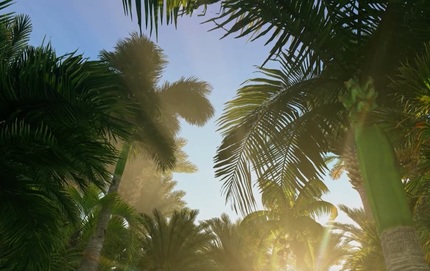 Sănătate cu stil: Calităţile uleiului de cocos