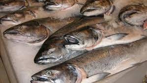 Otrava din farfuriile românilor