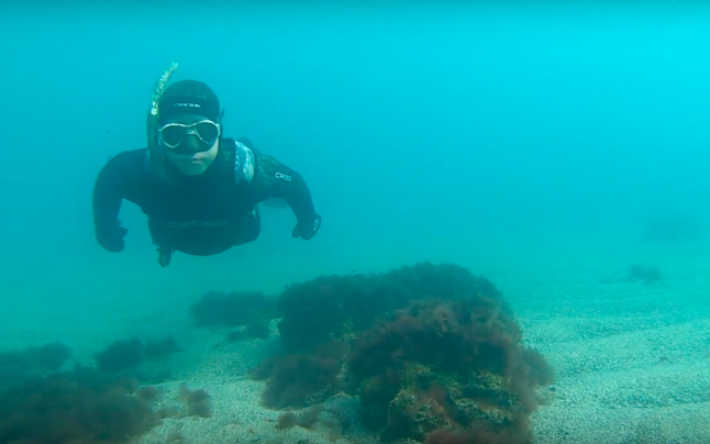 Lecţii de istorie, pe fundul mării