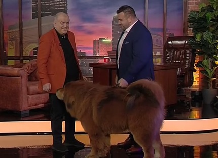 Boss Phantom, câinele de un milion de dolari, la Florin Călinescu Show