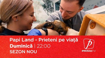 Papi Land - prieteni pe viaţă, reality show dedicat iubitorilor de animale, duminică, la Prima TV