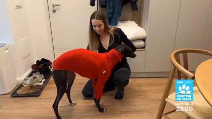 Papi Land - prieteni pe viaţă, reality show dedicat iubitorilor de animale, duminică, la Prima TV