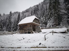 
Ecomuzeu al Ţării Moţilor, înfiinţat în Apuseni. ”Cei care vin vor vedea ceva autentic şi vor putea să guste din cultura locală”