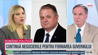EXCLUSIV. Vicepreşedinte PNL: Nu va fi de la noi propunerea pentru poziţia de judecător CCR. Prin algoritmul politic, va merge către PSD şi UDMR