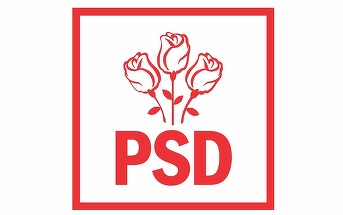Liderii PSD se reunesc la Vila Lac pentru a adopta modificarea statutului