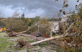 VIDEO. O tornadă a măturat din cale o localitate din Grecia. Acoperişuri smulse, geamuri sparte şi zone întregi fără curent