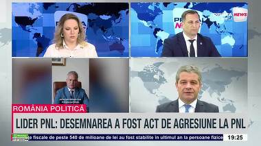 VIDEO. A încălcat Nicuşor Dan Constituţia prin nominalizarea lui Adrian Veştea? Florian Bodog, PSD: „Preşedintele ne-a pus în braţe tuturor un premier”