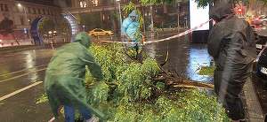 Furtuna de marţi seara din Bucureşti, cea mai puternică din ultimii 30 de ani. Ciprian Ciucu: „Avem două mari probleme, inundaţiile şi arborii rupţi”