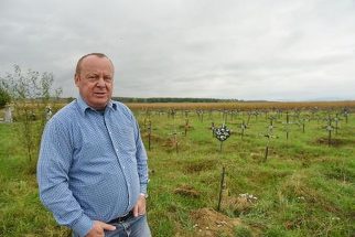 Anchetatorii au intrat sub acoperire în azilele ilegale din Bihor. Referatul DIICOT scoate la iveală detalii şocante despre reţea