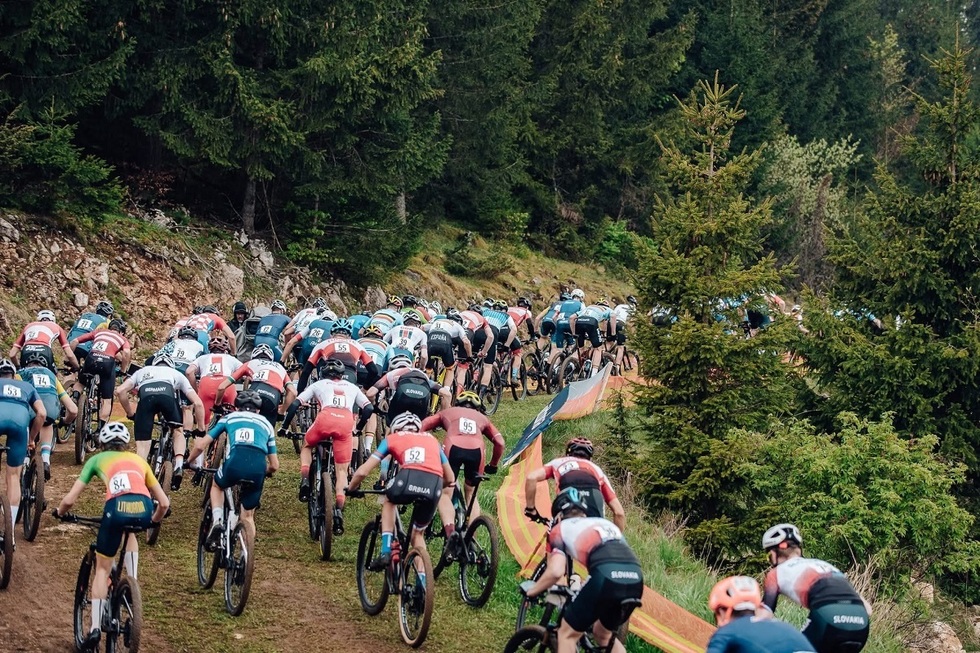 Auchan susţine viitorii campioni ai ciclismului european la Cheile Grădiştei, gazda Campionatului European de MTB pentru Tineret