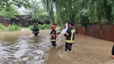 Măsuri stricte impuse de autorităţi în localităţile inundate. ANSVSA încearcă să prevină răspândirea unor boli infecţioase grave