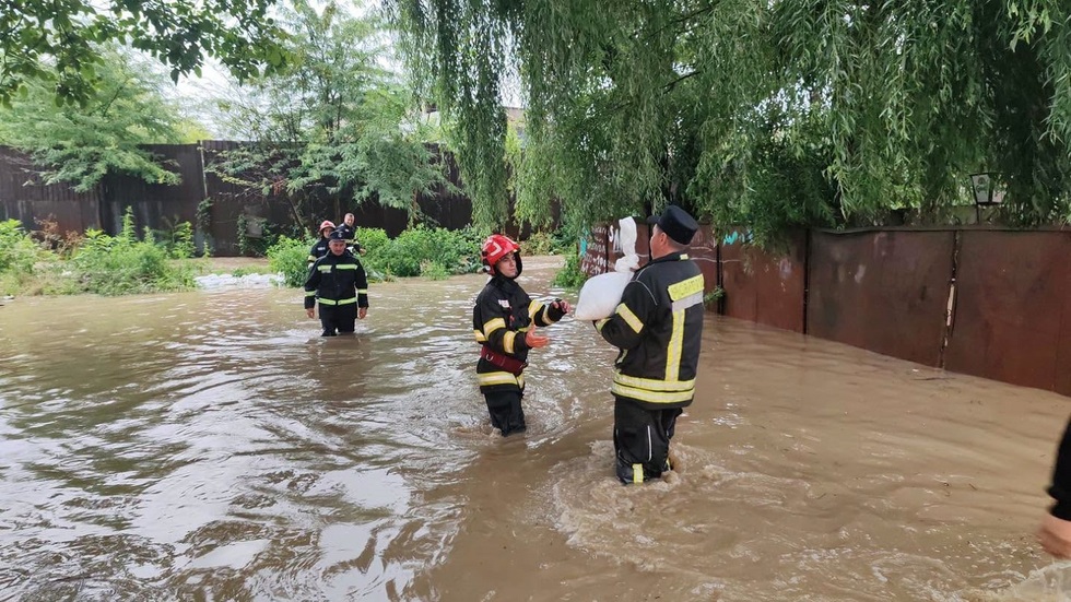 Măsuri stricte impuse de autorităţi în localităţile inundate. ANSVSA încearcă să prevină răspândirea unor boli infecţioase grave