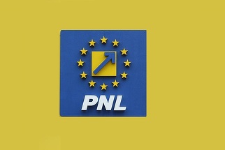 PNL, acuzaţii la adresa PSD după suspendarea hotărârilor de guvern: „Măsurile blocate de social-democraţi afectează persoane cu dizabilităţi, tineri şi fondurile europene ale României”