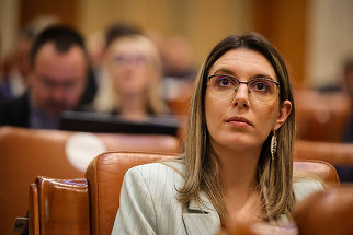 Diana Buzoianu, atac la PSD după decizia CCR în cazul Fritz: „Dacă vrea să învingă pe cineva politic, trebuie să îl învingă la vot”
