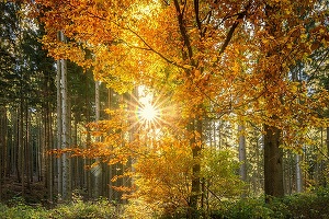 Toamna vine cu temperaturi peste normal în mai multe zone. ANM a publicat prognoza pentru următoarele patru săptămâni