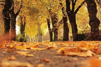 Toamna îşi intră în drepturi la final de septembrie şi aduce ploi. Cum va fi vremea în luna octombrie