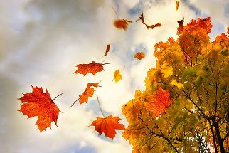 Toamna vine cu temperaturi peste normal în România. Cum va fi vremea până la sfârşitul lui octombrie