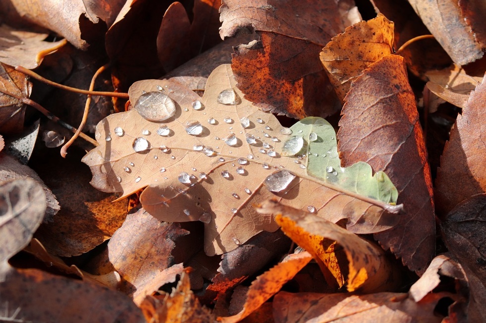 România trece de la temperaturi de 28 de grade la o răcire bruscă. Când revin ploile, potrivit ANM